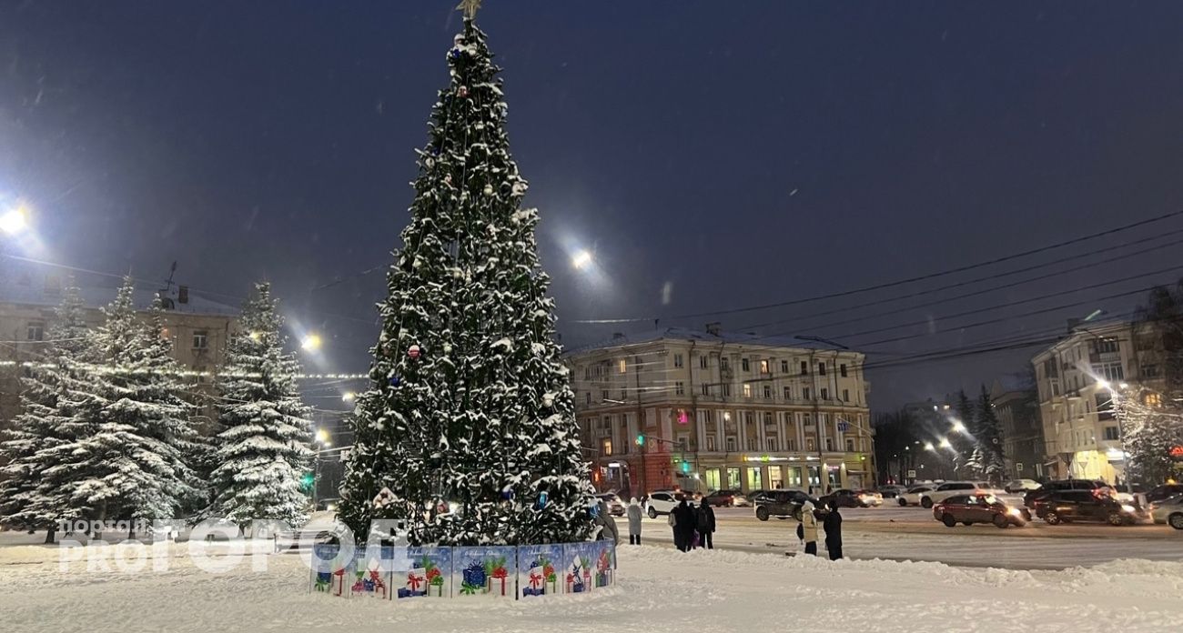 Бесснежный декабрь и Новый год пообещали жителям Ярославля