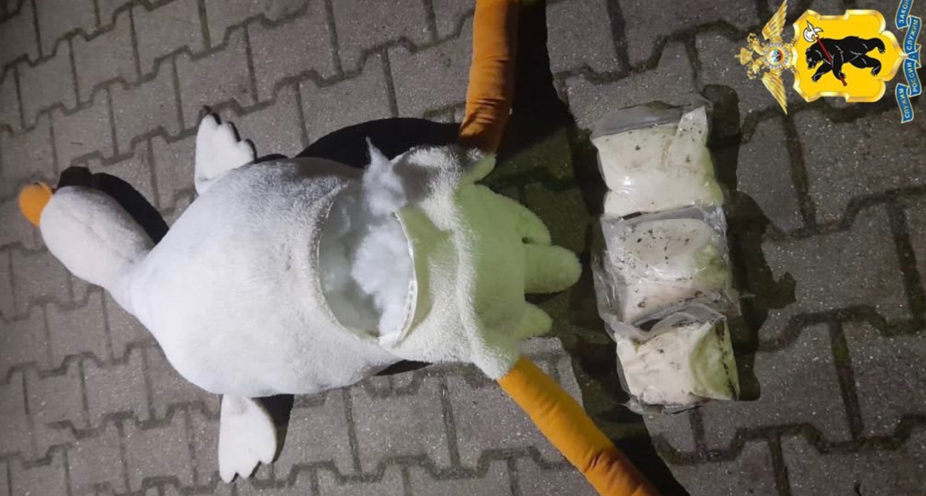 В Ярославле в плюшевом гусе нашли наркотики