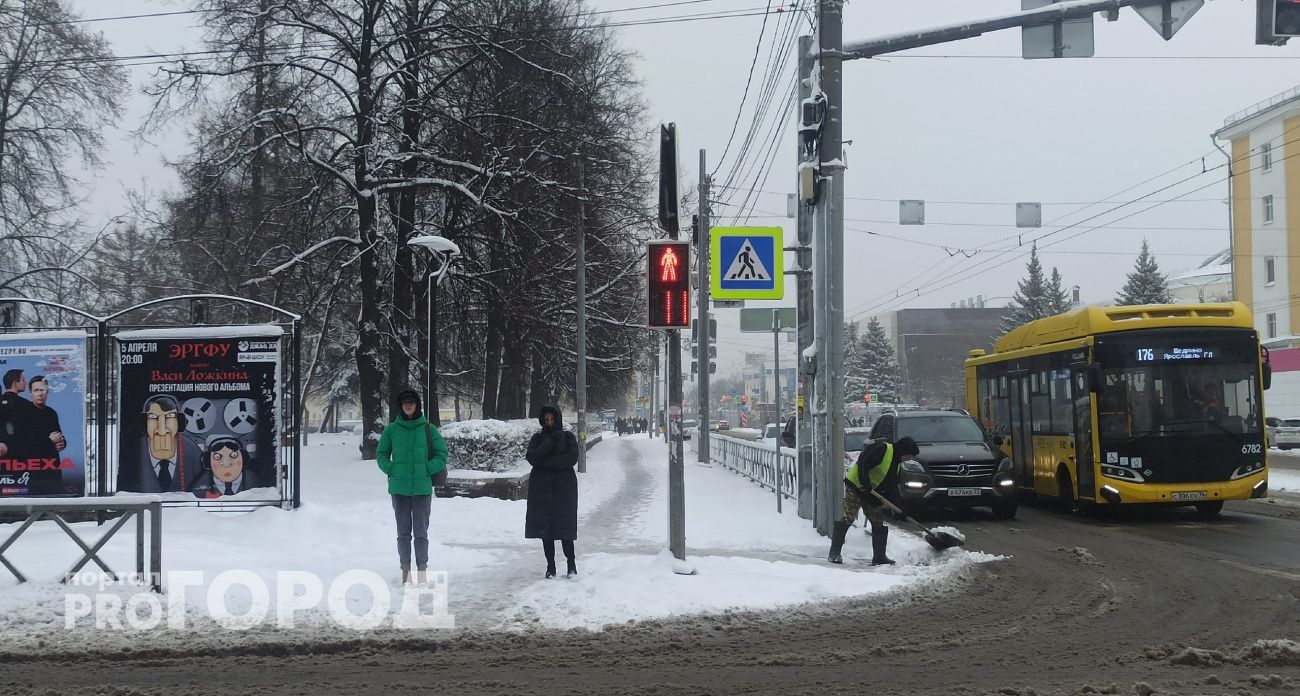  Когда выпадет настоящий первый снег в Ярославле: назвали точную дату