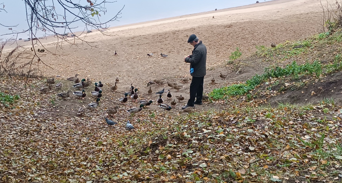 В Павловской роще появятся  туалеты