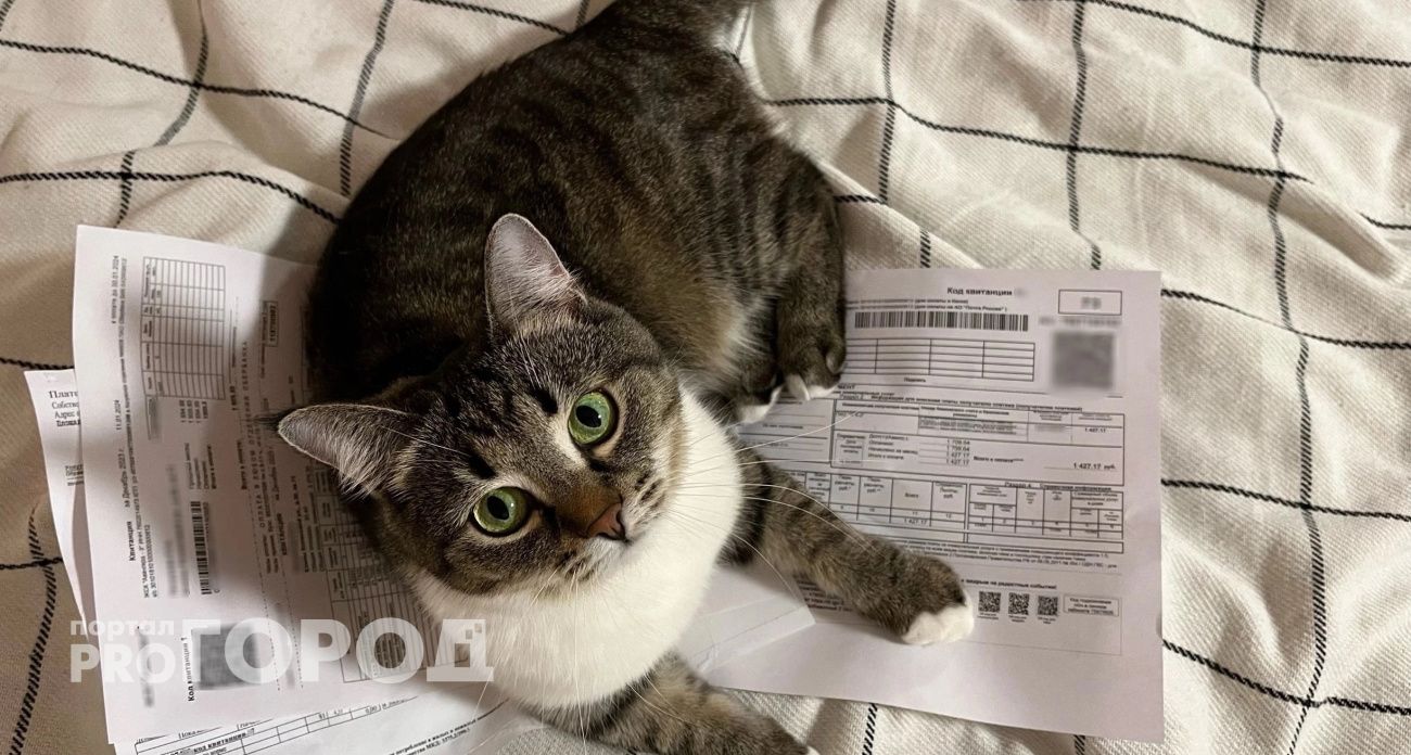 Ярославне выставили счет в 11.5 миллионов за холодную воду в квартире под Тамбовом