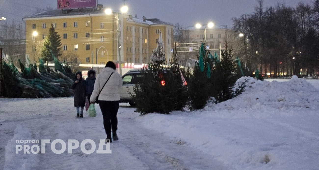 Составили прогноз погоды на новогодние праздники 2025-2026 в Ярославле