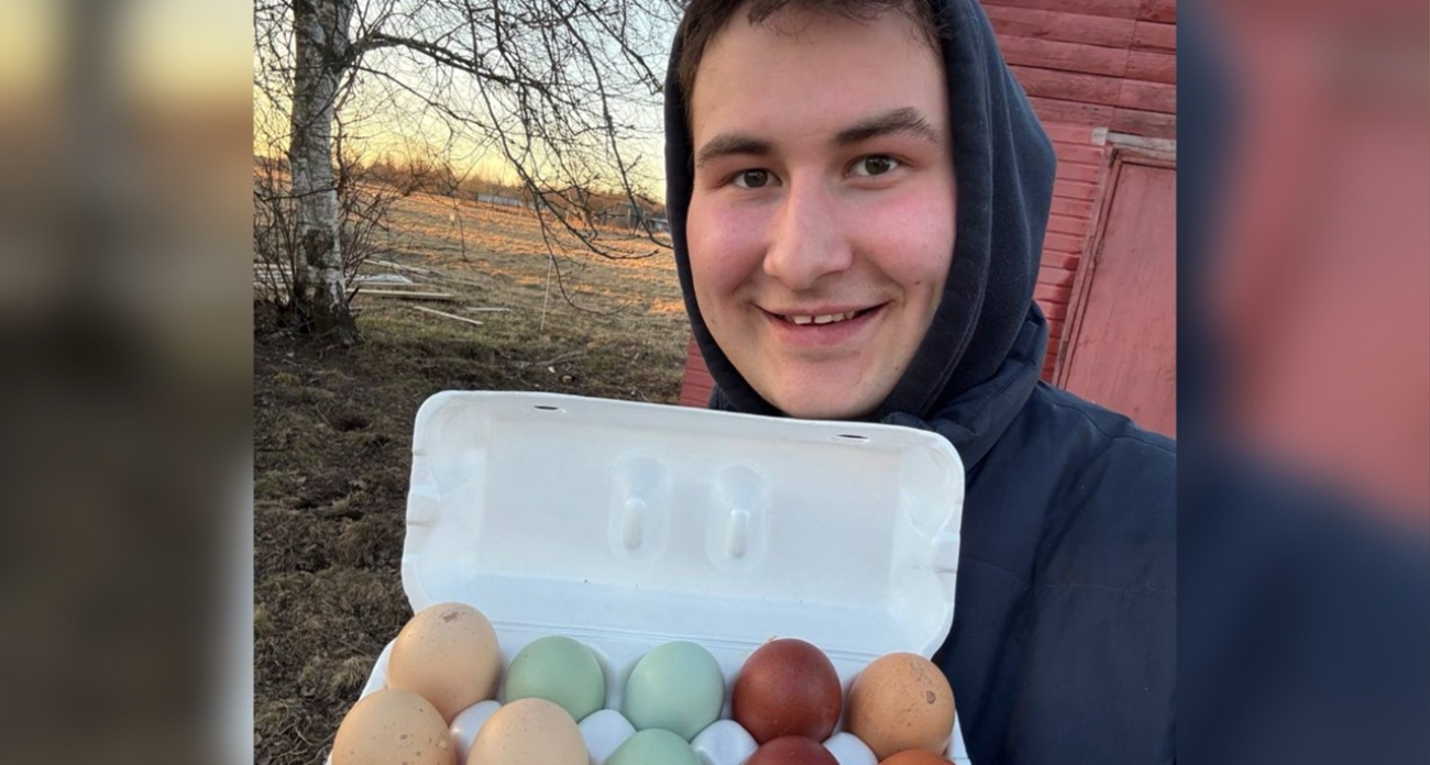 Долежат ли куриные яйца до Нового года: объяснил фермер из Ярославля