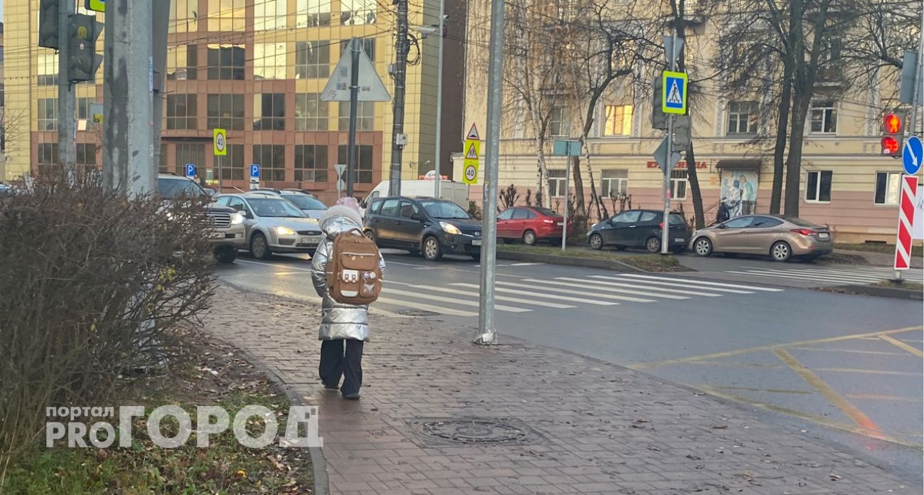 В Ярославле разрешили не водить детей в школу при авиационной опасности