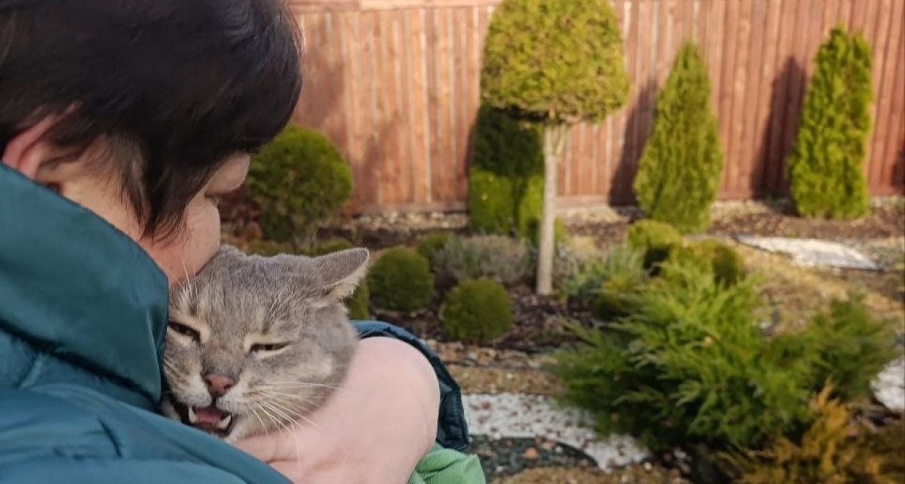 Пропавшего музейного кота Василия нашли спустя шесть дней