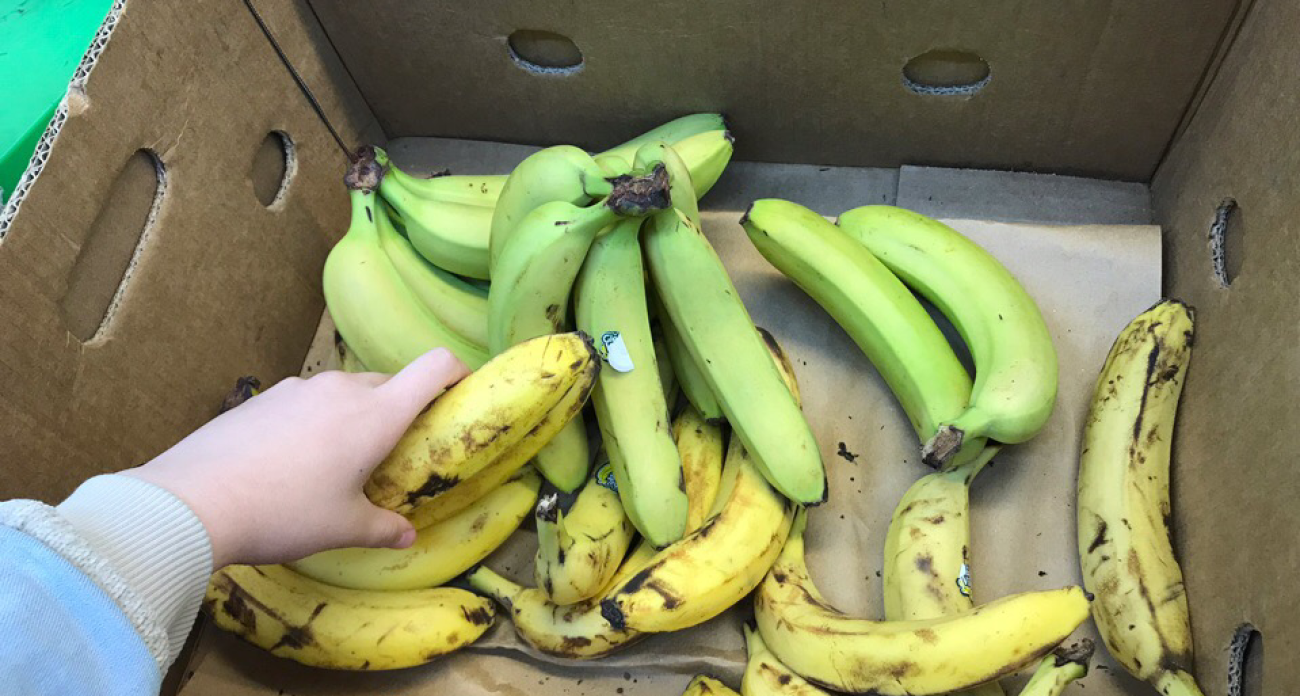 Беру банановую кожуру и натираю: обычные отходы на вес золота - вот как правильно использую