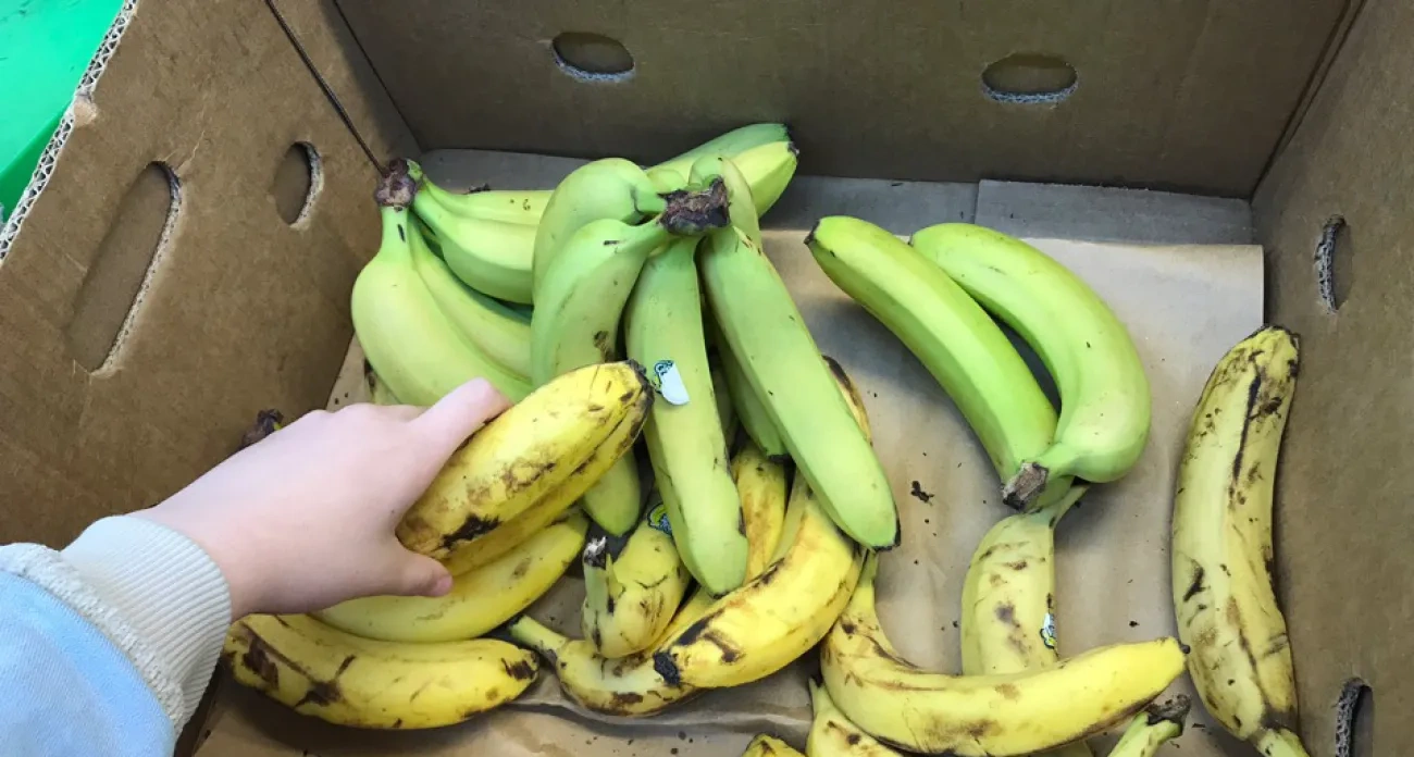 Полезные советы за неделю: чистим, стираем, выбираем продукты и планируем каникулы