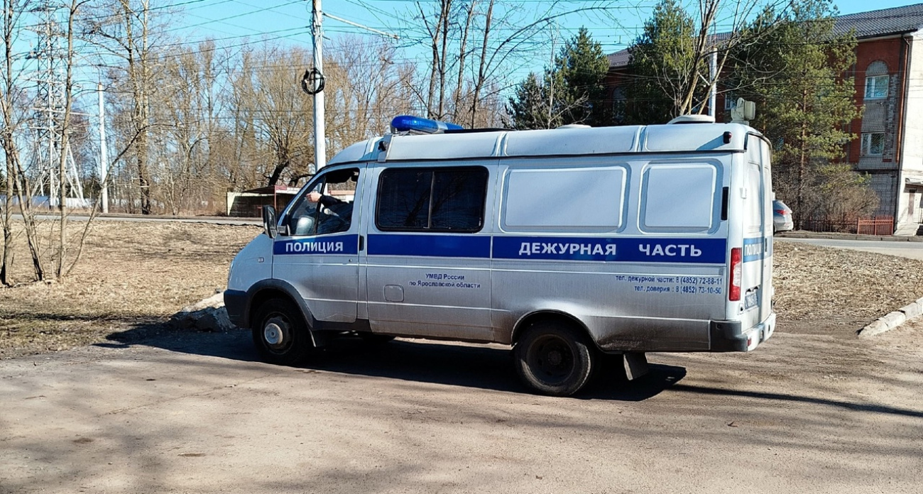 Ярославец разгромил продуктовый магазин тележкой