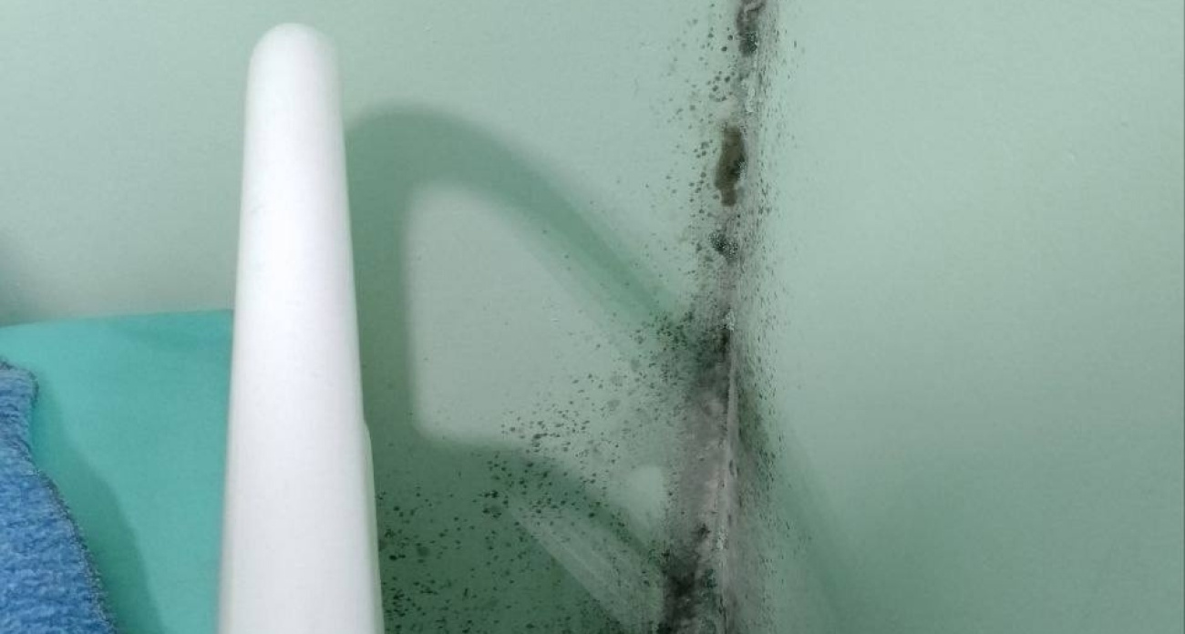 Ярославцы рассказали о грибке в гинекологии