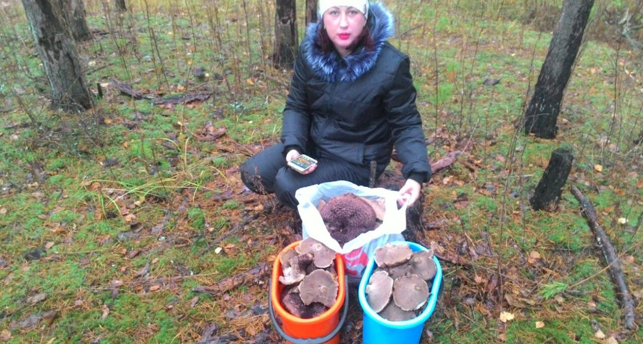 Дачники из Ярославля собрали в снегопад два ведра грибов