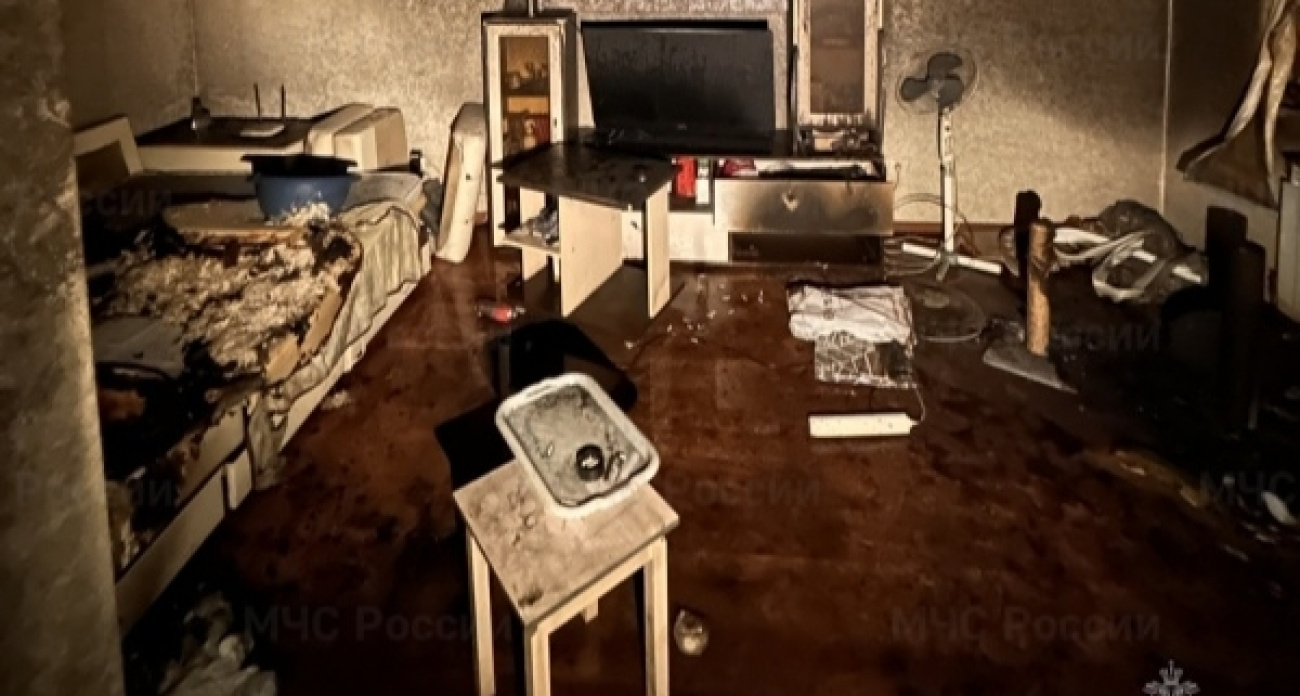 В Ярославле пожарные реанимировали кота