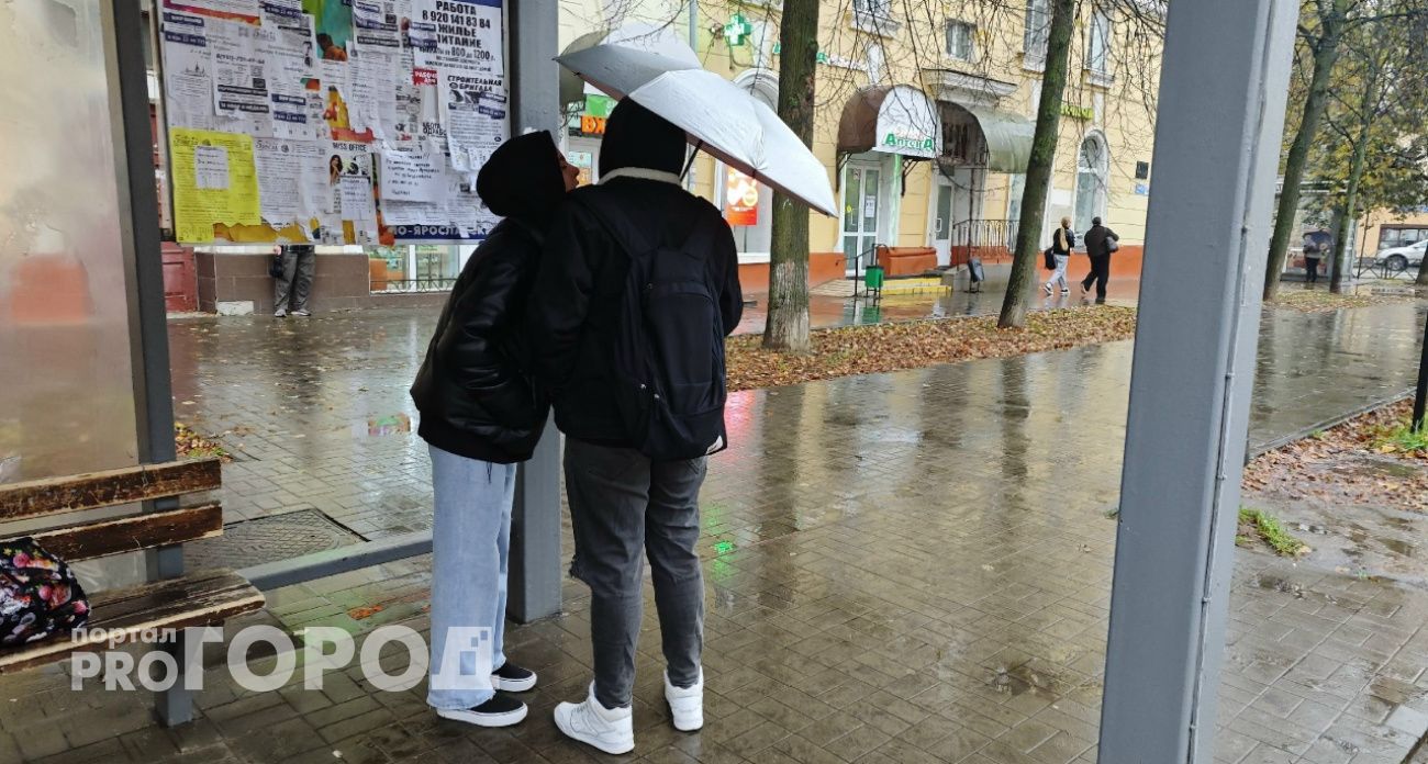 Треть месячной нормы осадков за сутки прольется на Ярославль