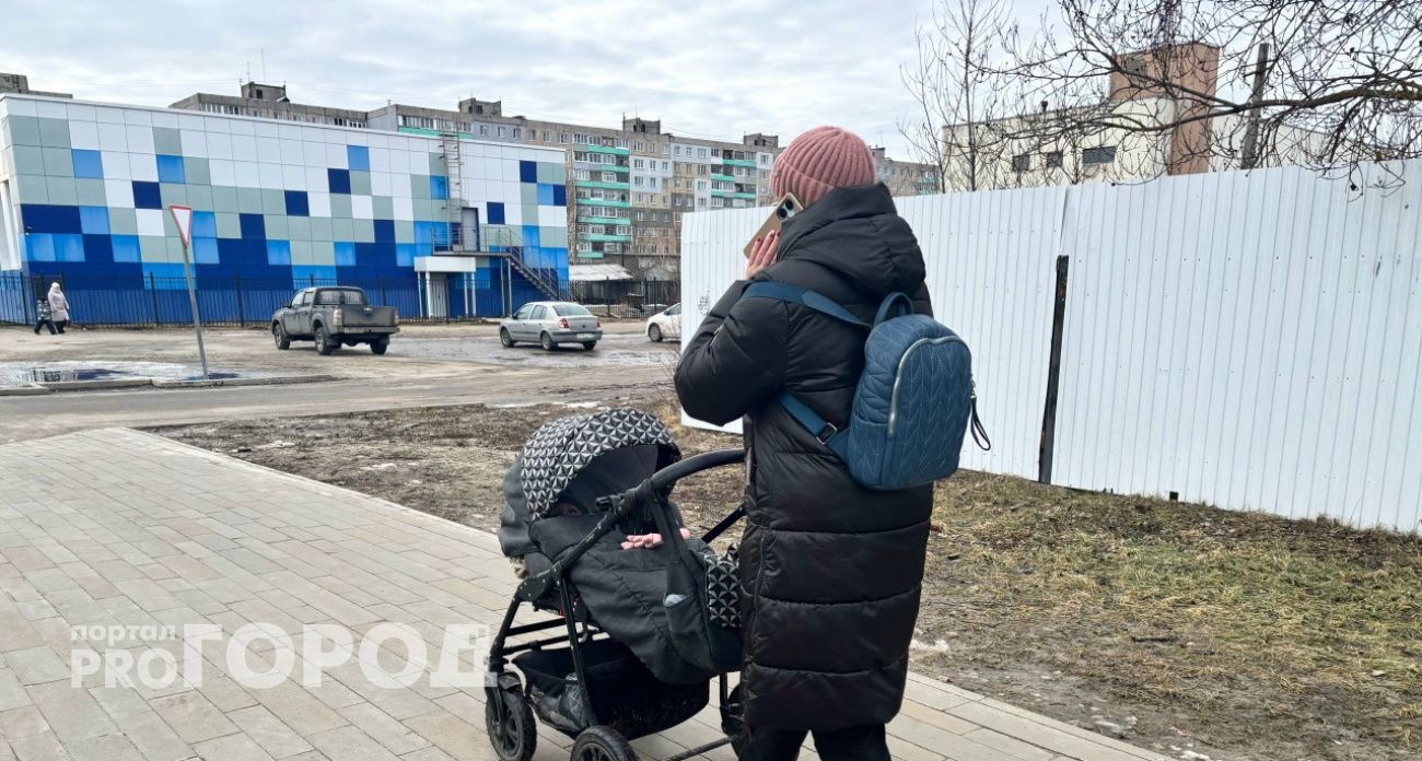 Жительница Ярославля лишилась денег из-за советских елочных игрушек