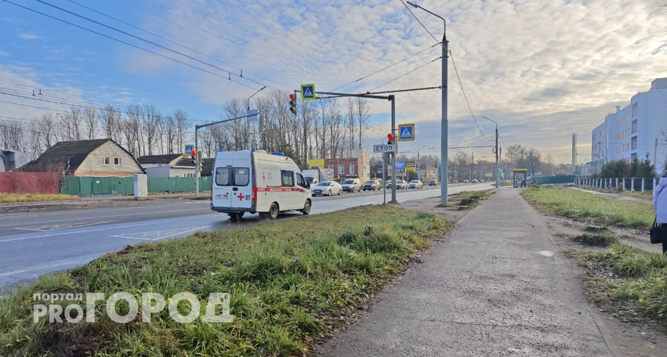 Что делать, если покусало животное: инструкция от врачей из Ярославля