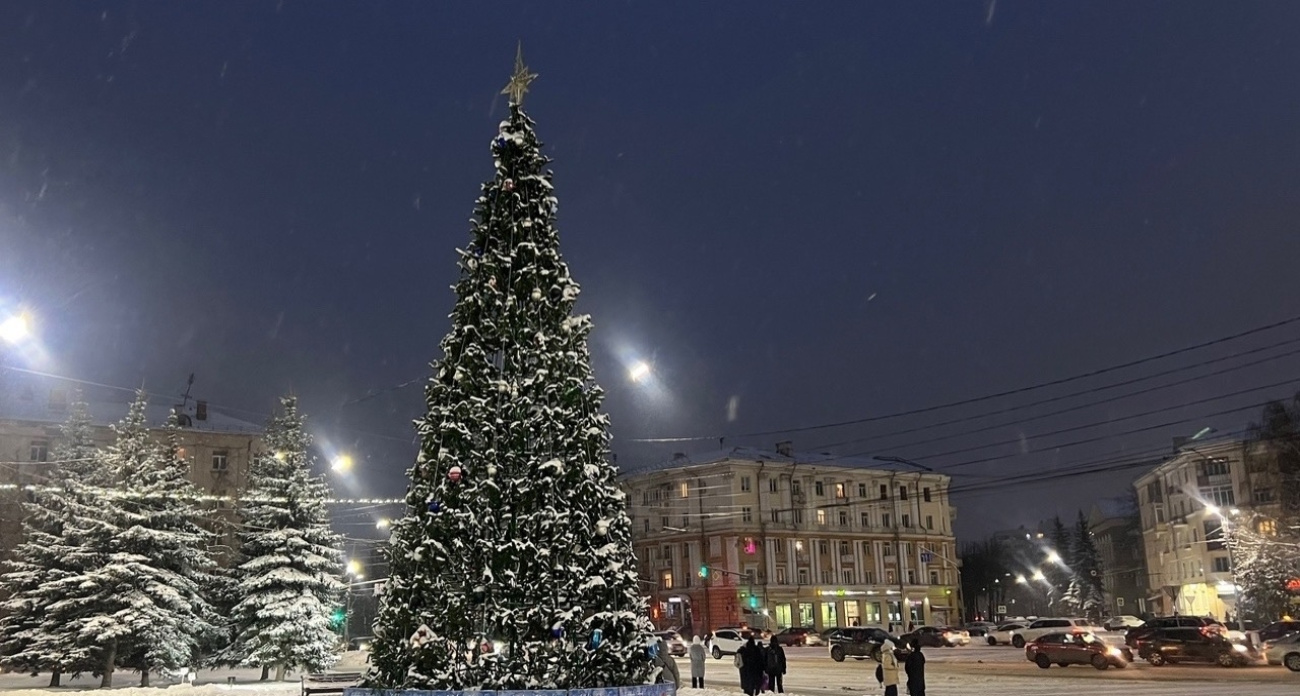 В Ярославле начали устанавливать новогодние елки