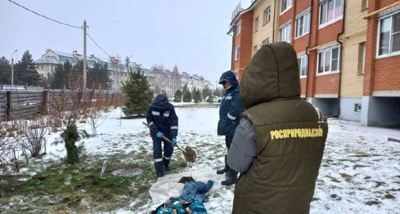 Ярославских коммунальщиков оштрафовали за разлив канализации