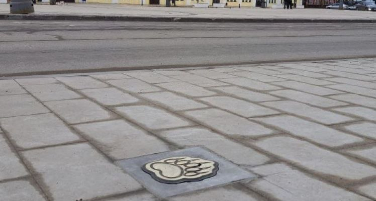 Ярославские власти объяснили медвежьи следы в Ростове