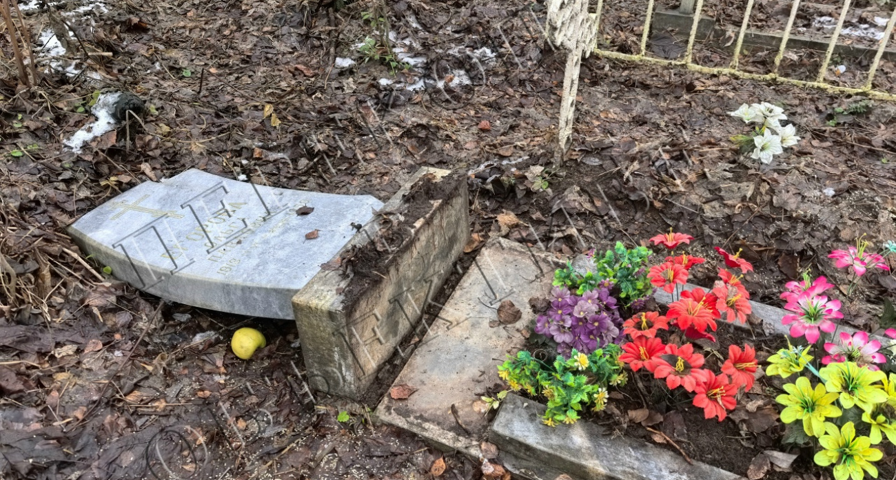 В Ярославле разгромили старинное кладбище