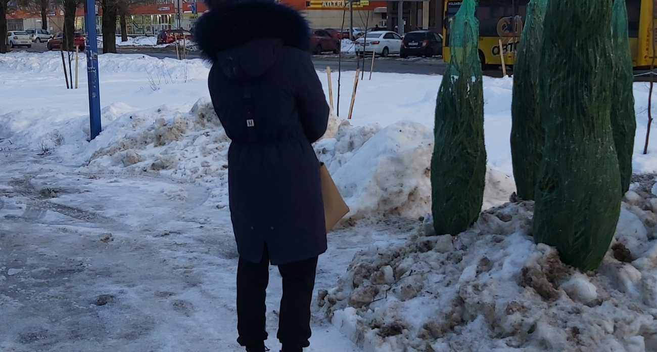 Такие елки больше не в моде: как теперь выглядит главный новогодний тренд в российских квартирах