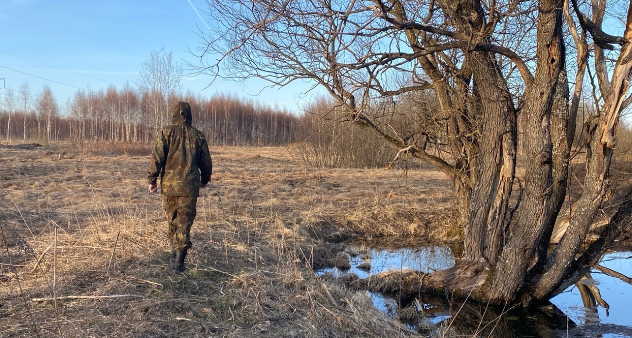 В Ярославской области ввели карантин по трихинеллезу
