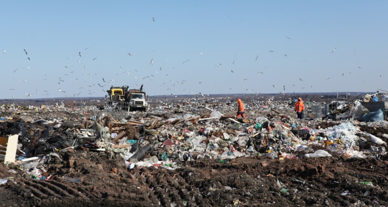 Единый комплекс по обращению с отходами построят в Ярославской области