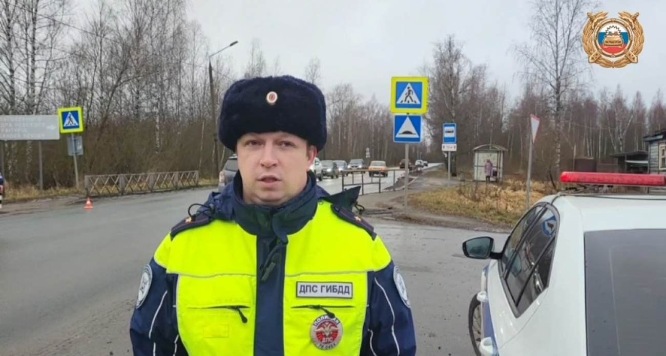 В Рыбинске под колёсами грузовика погибла пожилая женщина