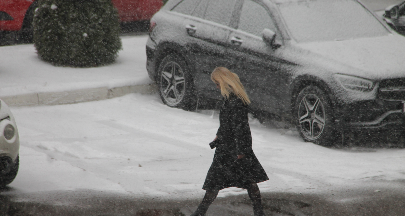 Снежные бури и неожиданная температура на Новый год: что ждет россиян в конце декабря