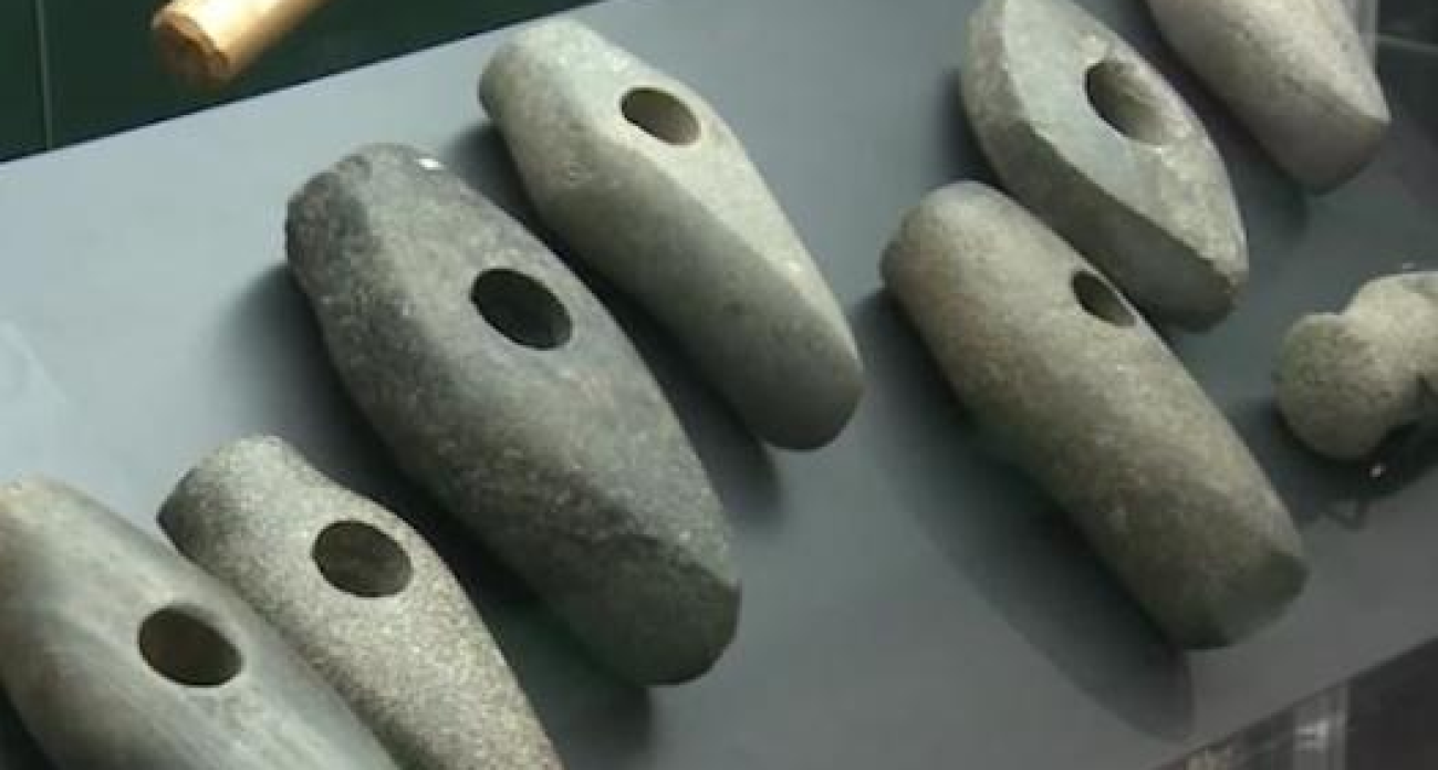 Охотники бронзового века: в Ярославле показали артефакты фатьяновцев с собаками