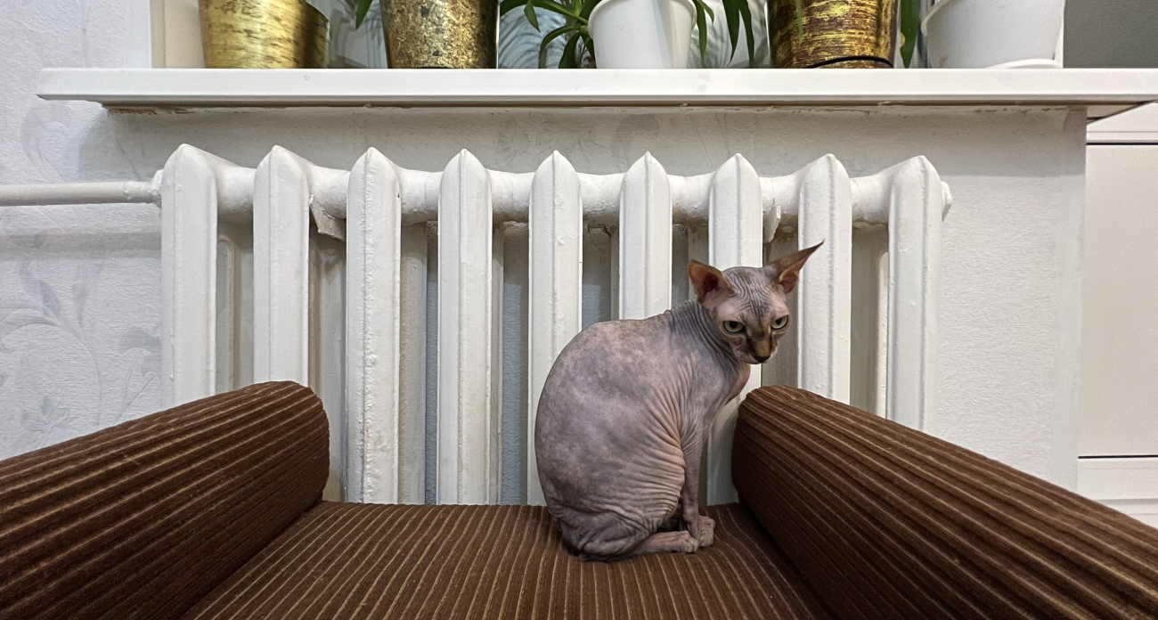 Соседка подсказала трюк с фольгой - батареи стали греть вдвое сильнее без лишних затрат