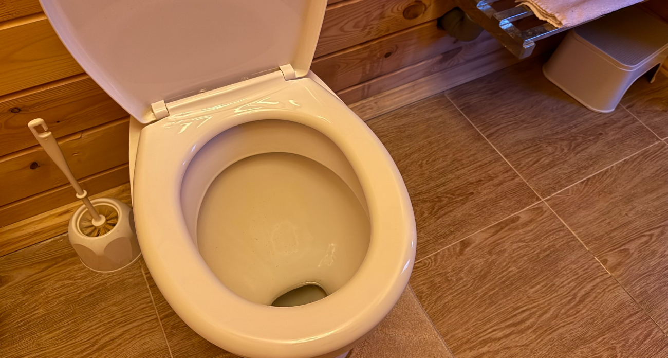 Кидаю это в унитаз на ночь - утром сияет, как в рекламе