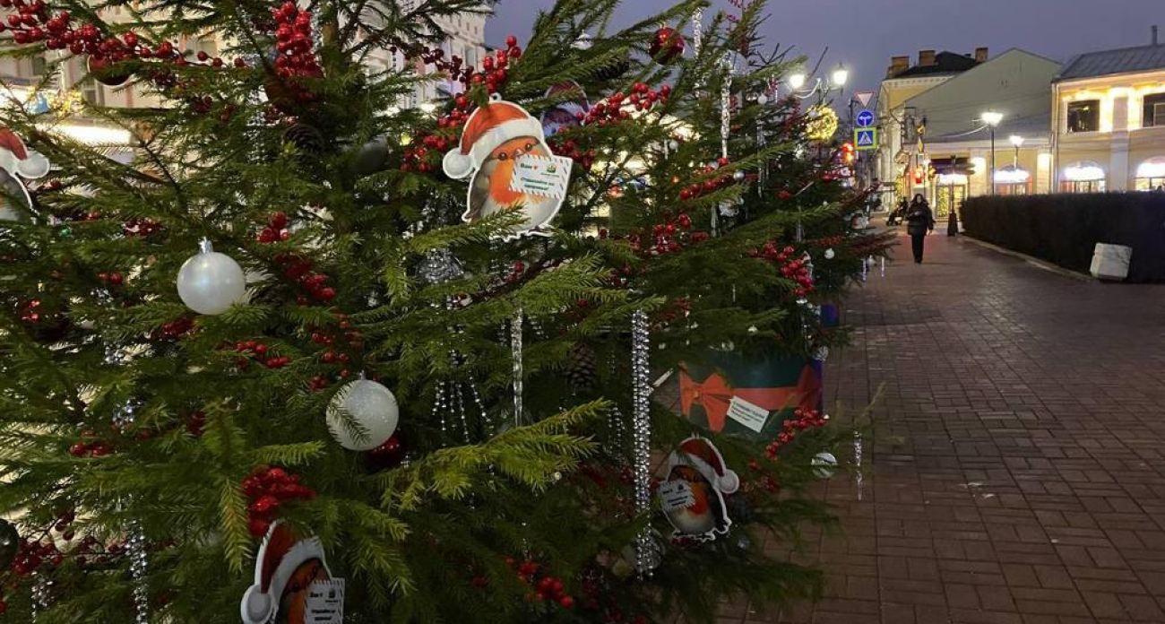 Ярославль встретит Новый год при -15 градусах и снеге