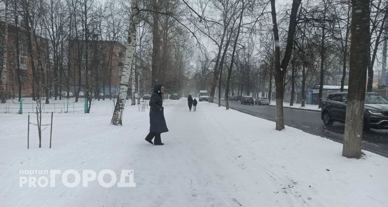 К Новому году Ярославль заметет: синоптики обещают до 19 сантиметров снега