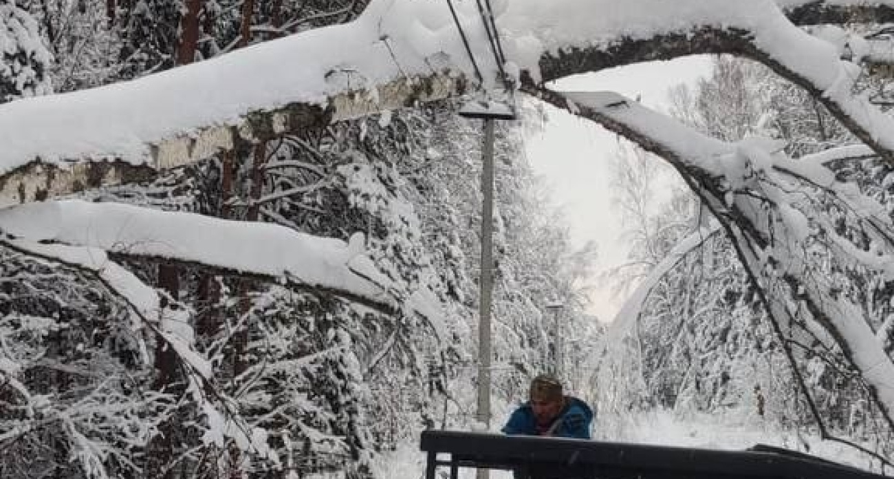Ярославские энергетики устраняют последствия снегопада