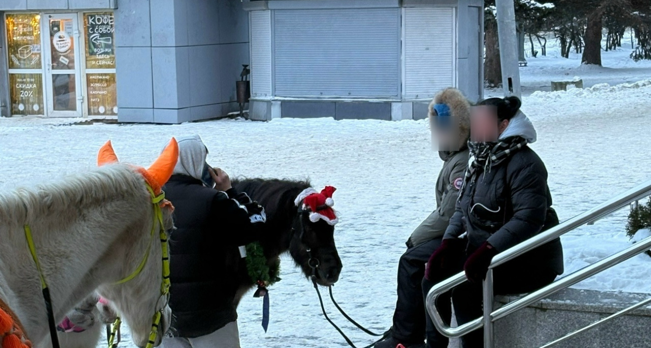 Ярославский цирк назвал незаконным катание на лошадях и фотосессию с птицей у стен здания