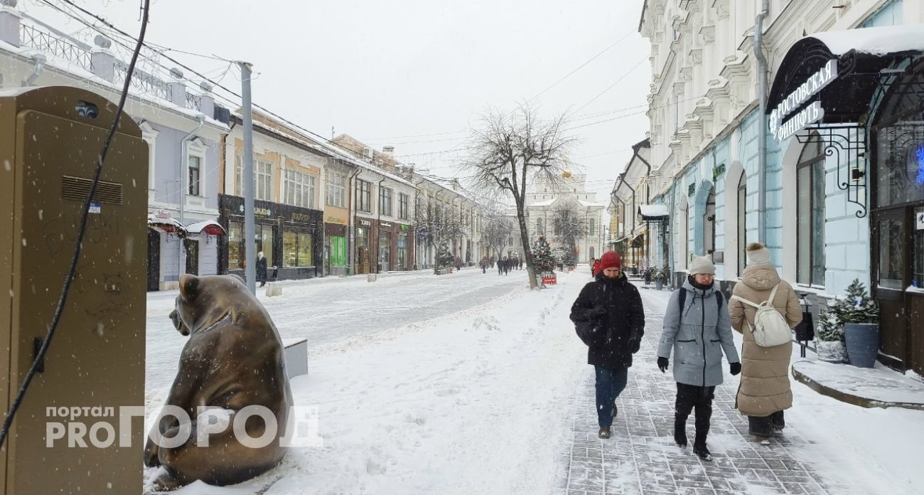 Мэрия: 9 января ярославцев ждет сильная метель и снегопады