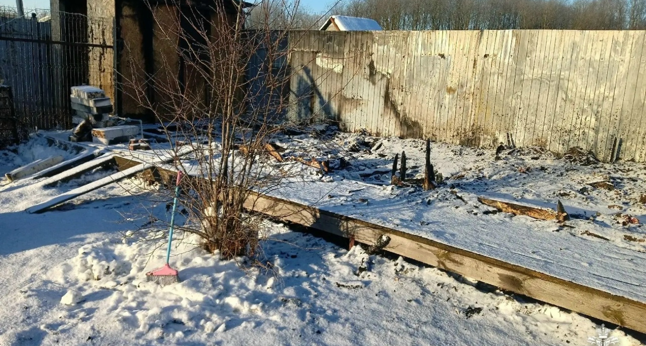 В Ярославской области 12 кур горели заживо из-за замыкания проводки