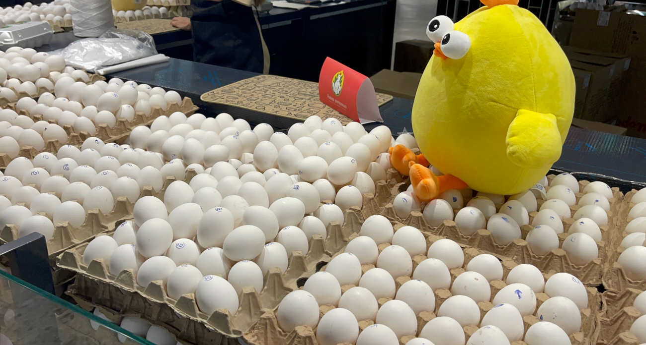 Хитрые продавцы выбирают яйца домой только так: по этим 2 признакам видно хорошие яйца в магазине