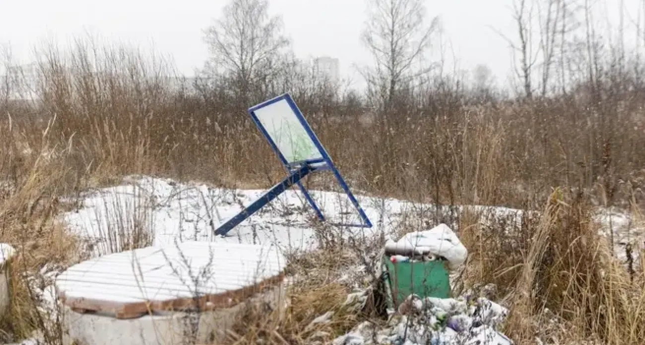 Снос парка "Озерная гривка" и закрытые детские горки: главные новости за 9 января в Ярославле