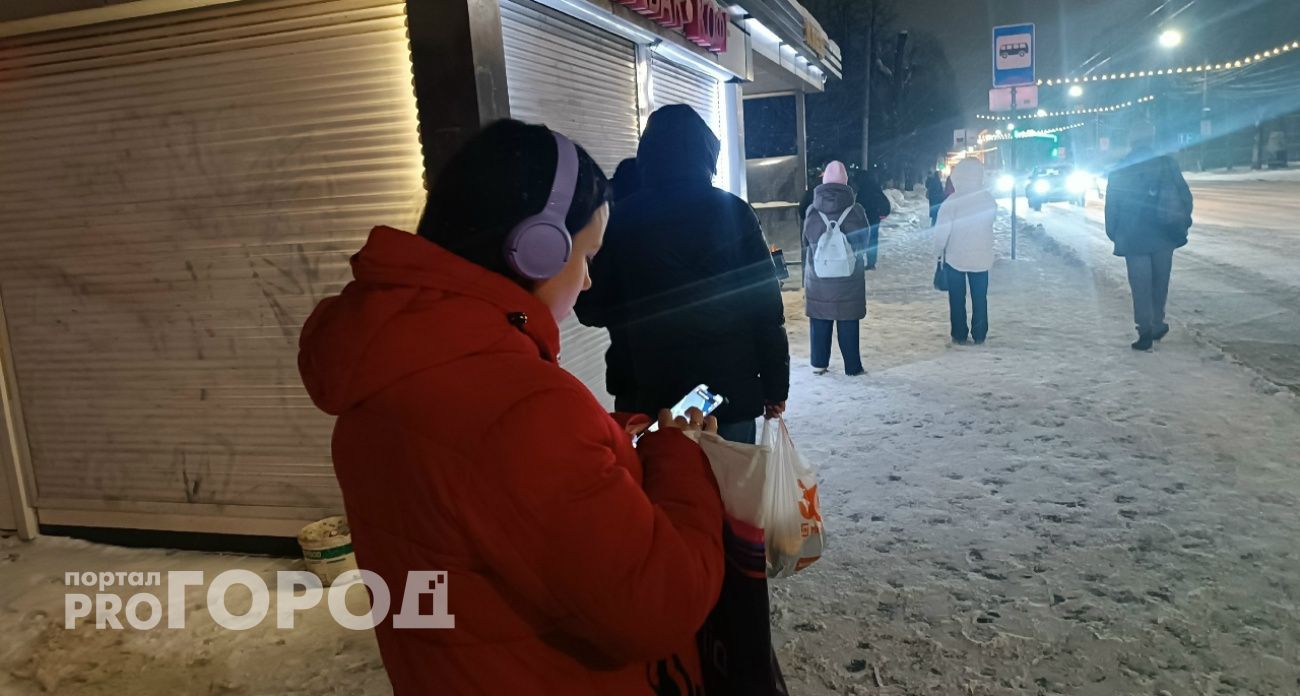 Ради онлайн-игры 11-летняя школьница перевела зарплату родителей мошенникам
