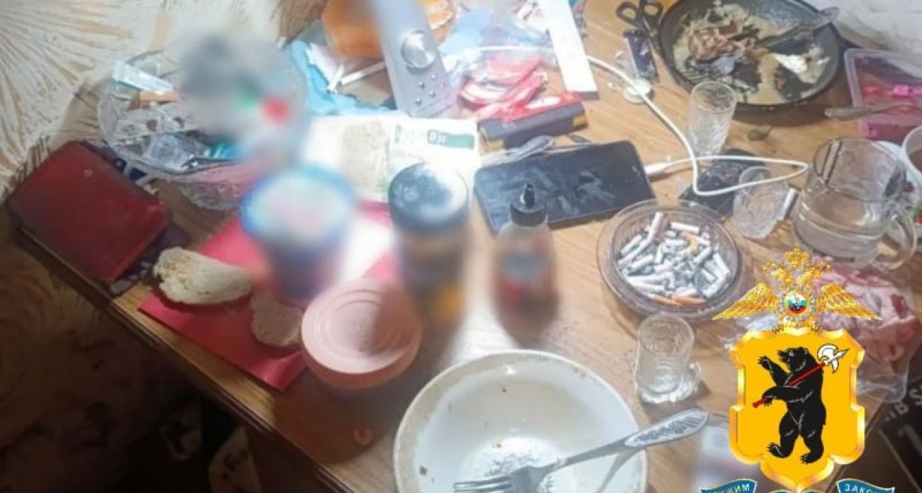 Жительница Ярославской области подозревается в убийстве сожителя: "Ударила ножом в грудь"