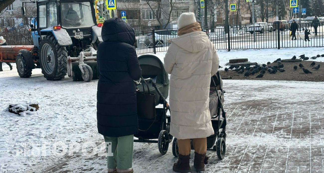 В Ярославской области заработал сервис поддержки многодетных семей