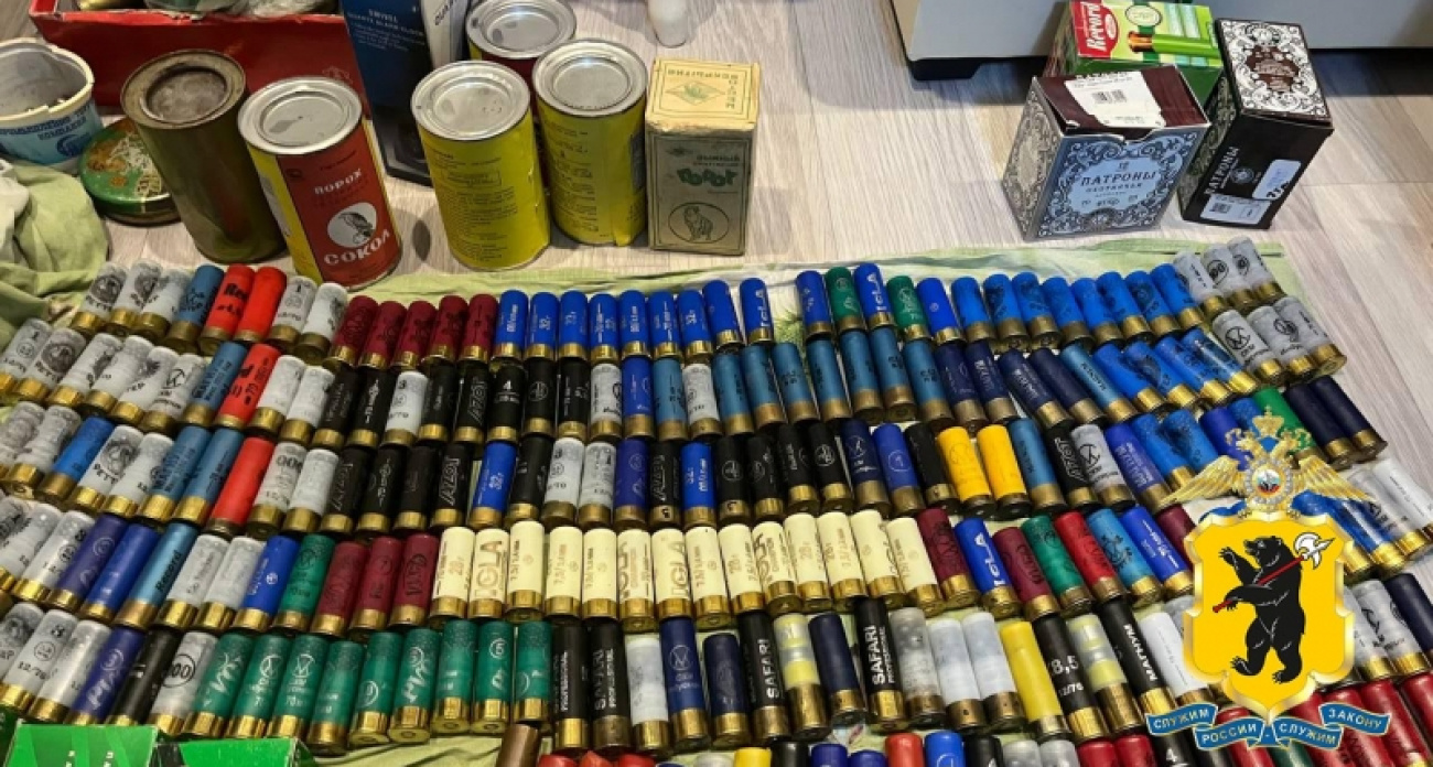 В Ярославской области женщина стояла на стреме, пока браконьеры убивали лосей