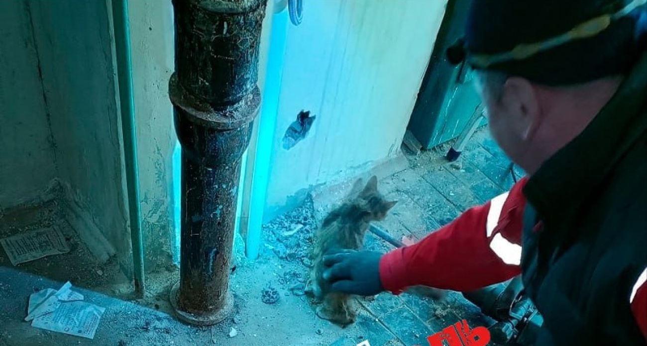 В Дзержинском районе Ярославля спасли котенка из вентиляционной шахты