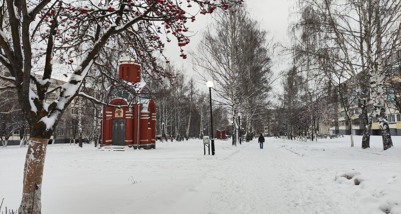 Забудьте про дорогую охрану: это дерево у дома испокон веков защищало от беды