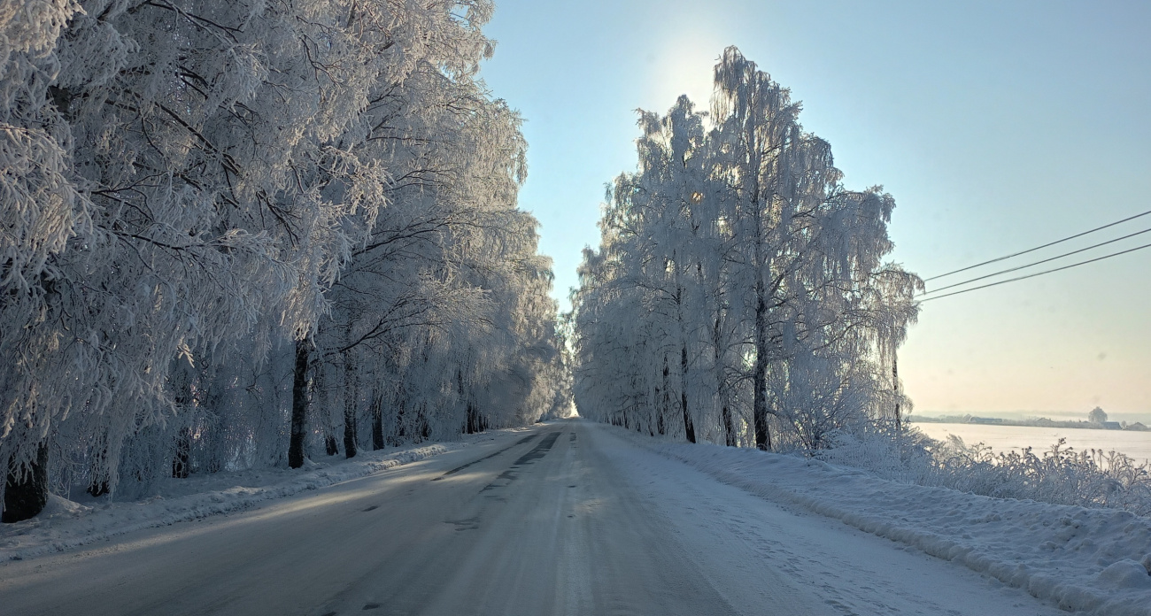 Прогнозы в телефоне больше не в моде: ваша бабушка знала о погоде больше благодаря приметам