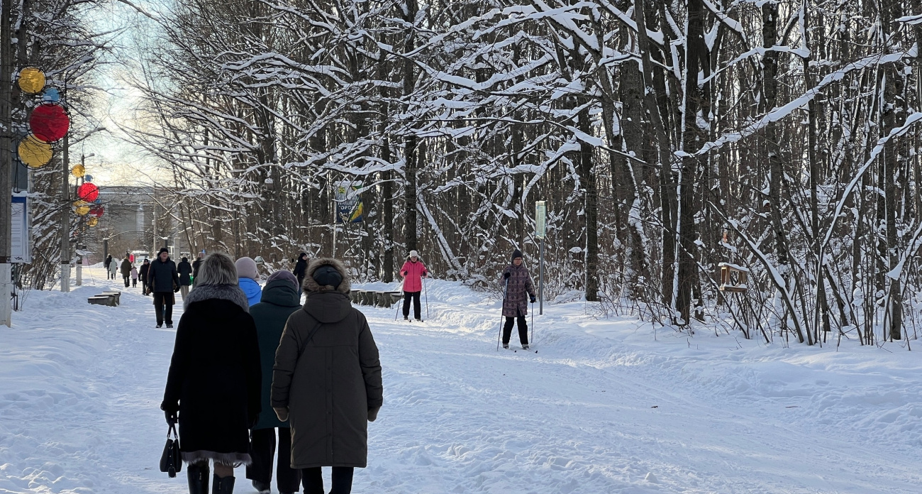 29 января звёзды предупреждают Львов: ваша жизнь разделится на до и после, один разговор изменит всё