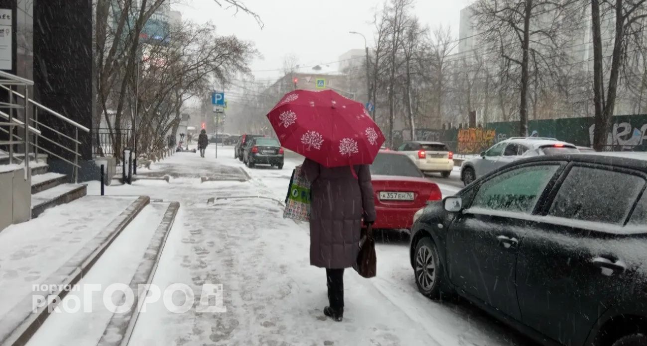 В Ярославской области объявлено штормовое предупреждение
