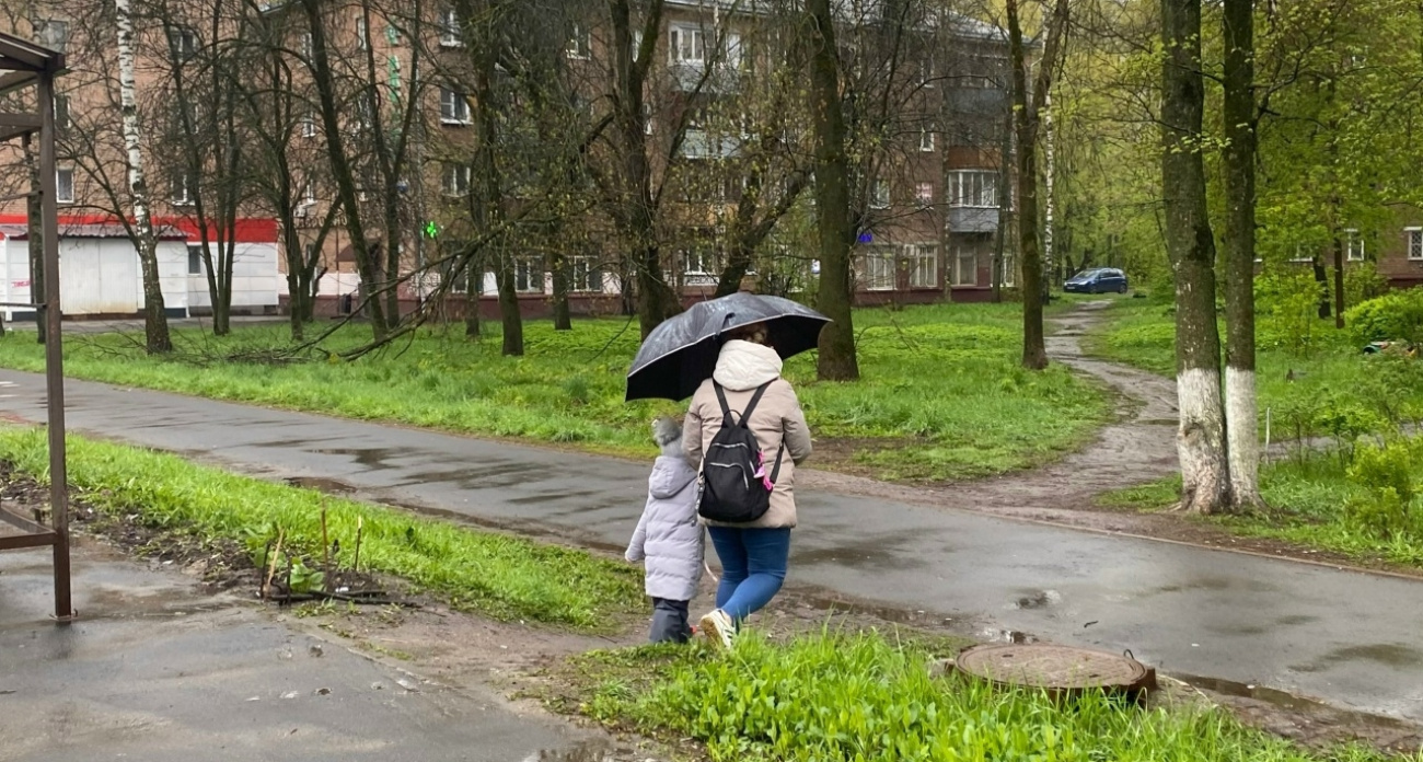 Ярославцам пообещали раннюю весну и жаркое лето