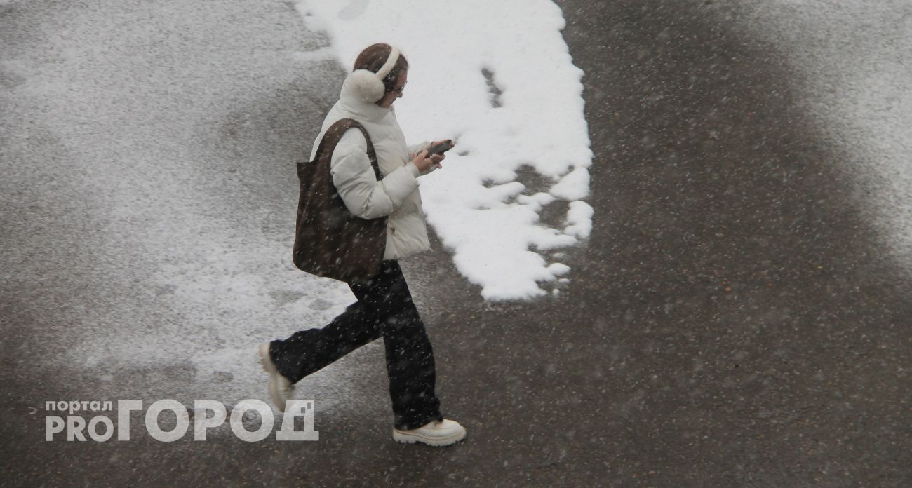 Электронный дневник обошелся семье из Рыбинска в 215 тысяч рублей