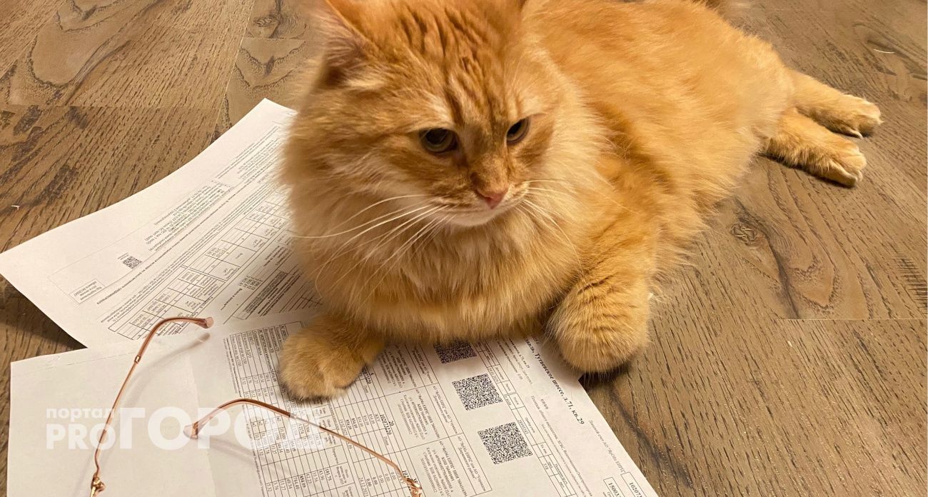 Ярославцам объяснили большие счета за отопление в январе